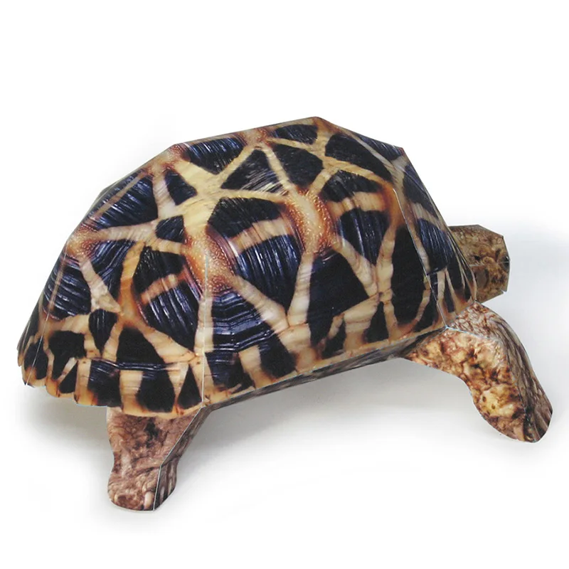 Modèle de tortue étoile indien - Art Craft Cardboard avis et prix
