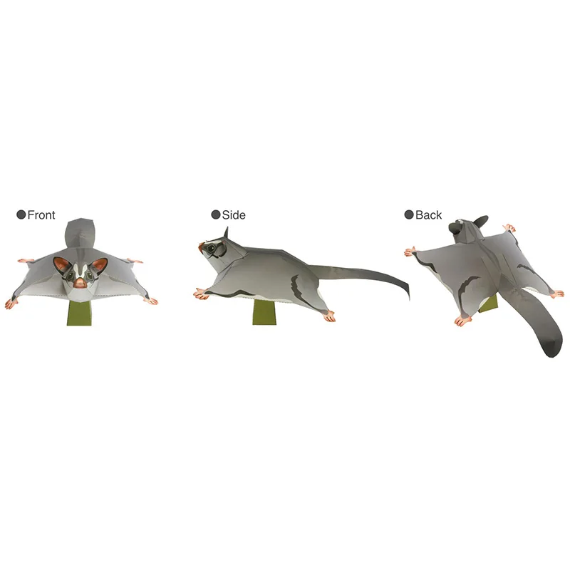 Sucre fœtal der souris volante - Art Craft Cardboard avis et prix