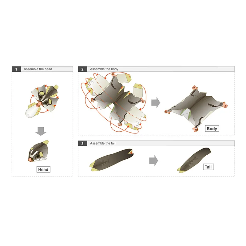 Sucre fœtal der souris volante - Art Craft Cardboard avis et prix