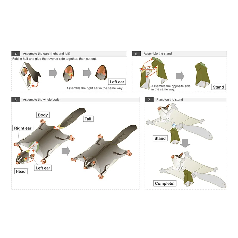 Sucre fœtal der souris volante - Art Craft Cardboard avis et prix